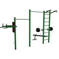 Тренажер вуличний з подвійним турніком і шведською стінкою